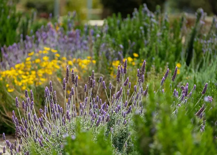 La Pietra Maisonettes